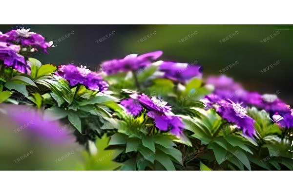 茶韵武汉:老照片里的茶馆生活,回忆满满 茶韵武汉:老照片里的茶馆生活,回忆满满